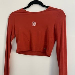 Hollister long sleeve baby tee